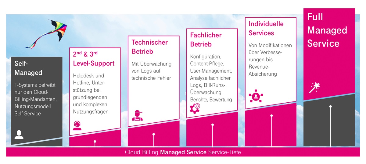 Grafische Darstellung Cloud Billing Managed Service