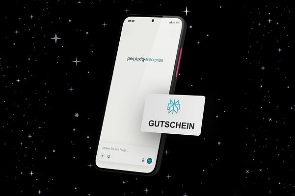 PerplexityPro-Artikelbild