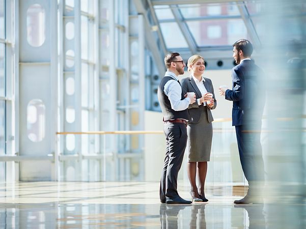 Professionelles Business-Meeting