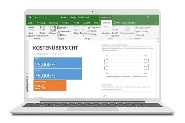 Screenshot: Project Online: Evaluate integrated reports and optimise project processes