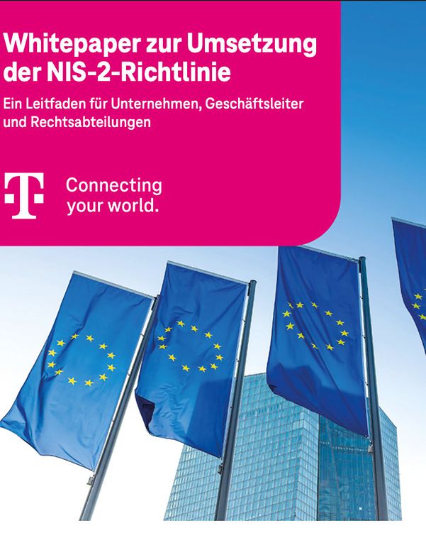 Cover des Whitepapers, mit 3 Europafahnen vor einem Gebäude