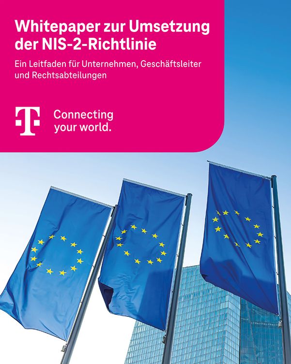 Cover of the white paper, featuring three European flags in front of a building