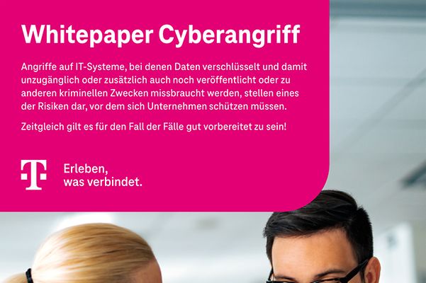 Cover of the white paper, showing two people sitting at a table with a laptop, analysing a document