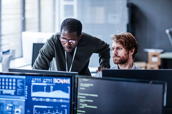 Two male colleagues work in front of two monitors according to the dual control principle.