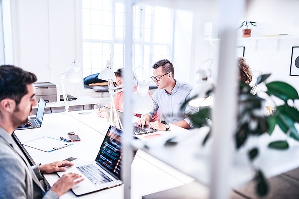 Several colleagues are working together on a project in the office.