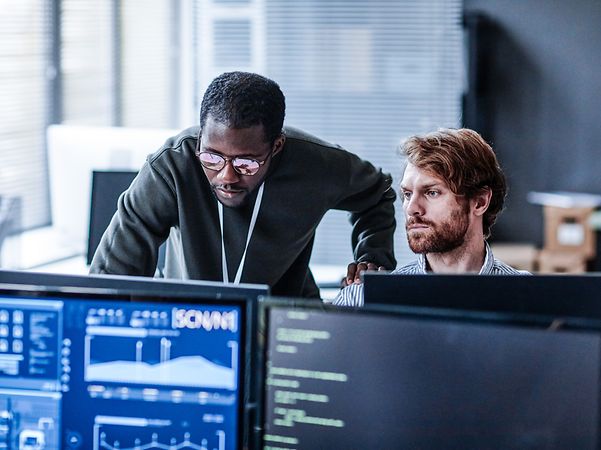 Two male colleagues work in front of two monitors according to the dual control principle.