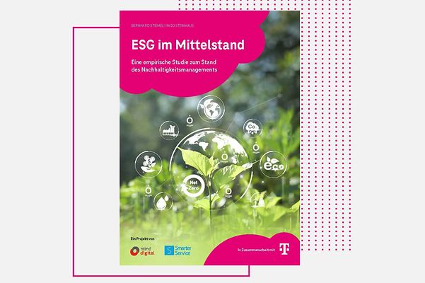 Study: ESG in SMEs