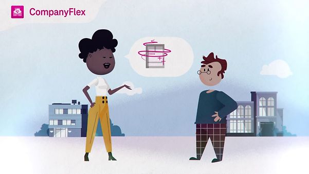 Video image company Flex