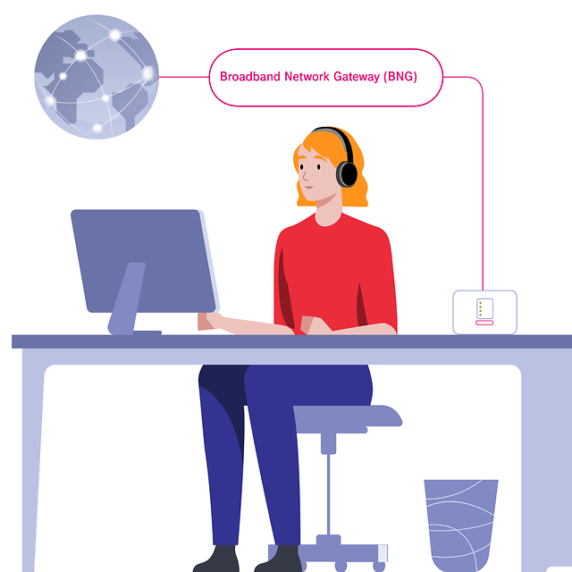 Woman sitting in front of her computer working. The BNG interface can be seen in the background.