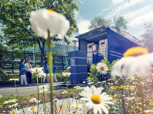 Unloading work clothes from a blue Bardusch lorry with daisies in the foreground