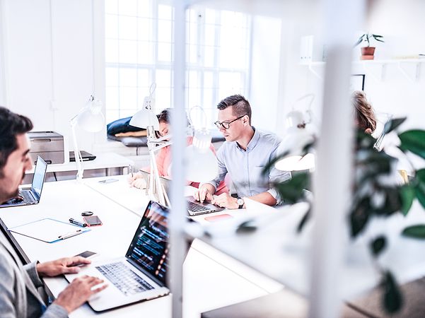 Mehrere Personen sitzen im Büro und schauen auf ihre Laptops.