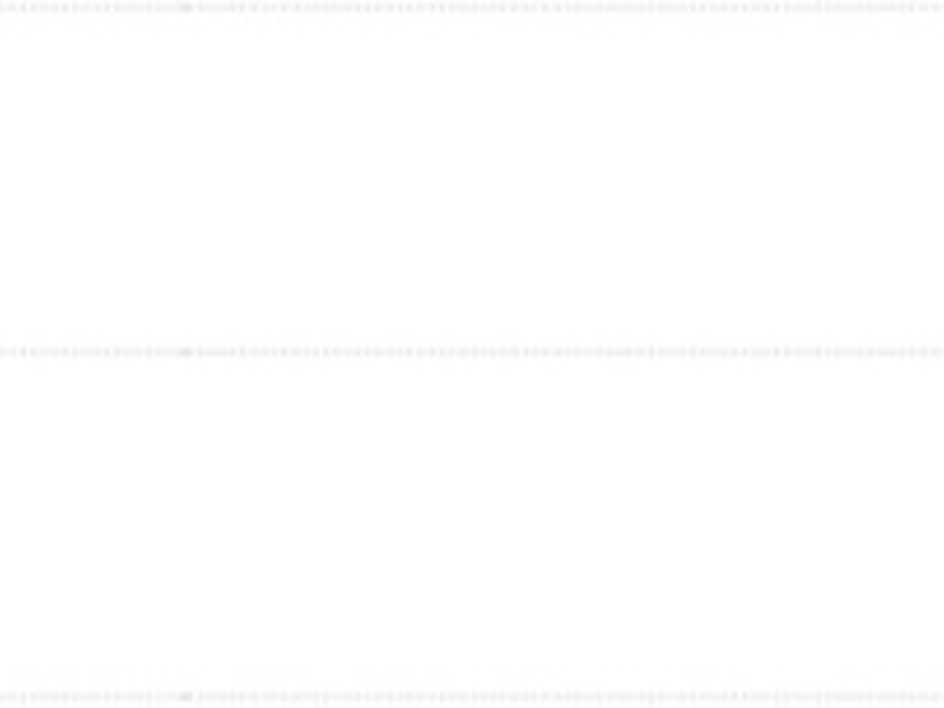 Darstellung der Buchungsposten bis zum Februar 2025