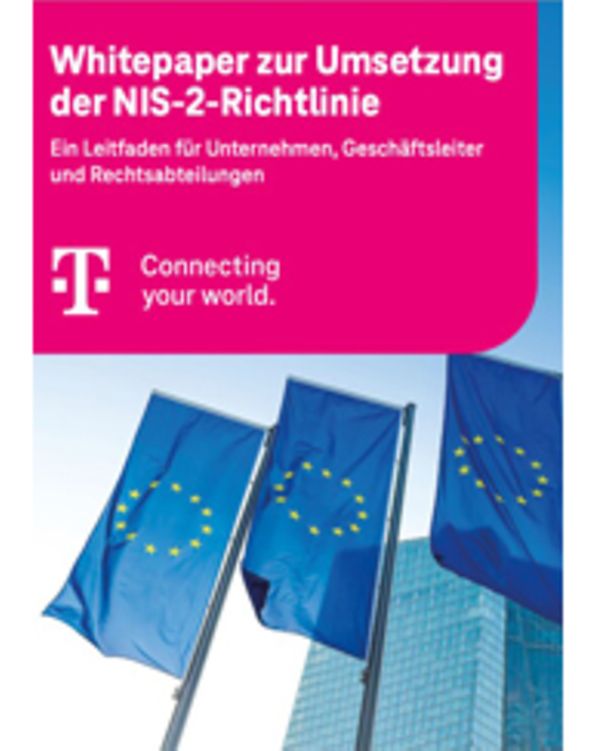 Cover des Whitepapers, mit 3 Europafahnen vor einem Gebäude