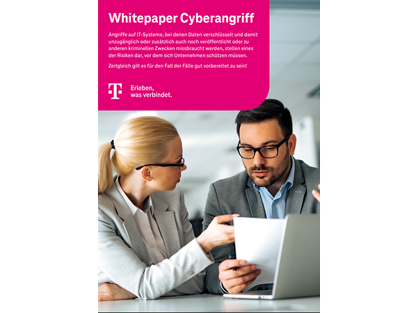 Cover des Whitepapers, mit 2 Personen an einem Tisch mit Laptop, die ein Dokument analysieren