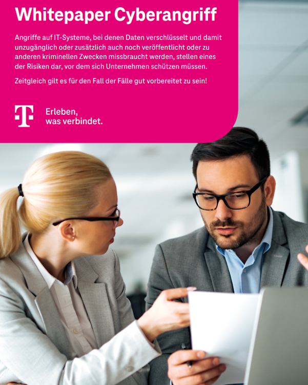 Cover des Whitepapers, mit 2 Personen an einem Tisch mit Laptop, die ein Dokument analysieren