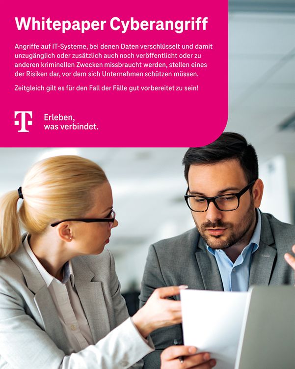 Cover des Whitepapers, mit 2 Personen an einem Tisch mit Laptop, die ein Dokument analysieren