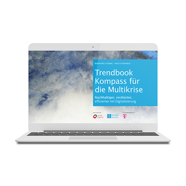 Trendbook-Multikrise